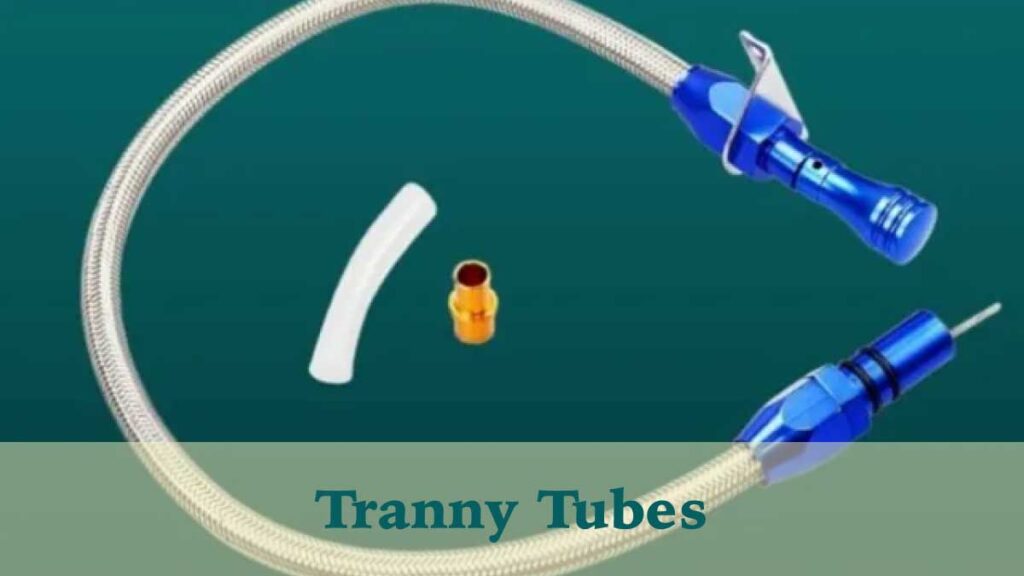 Get to Know All About Tranny Tubes: Its Types, Advantages, and More